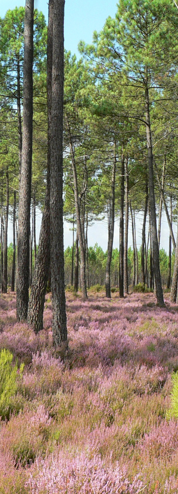 Découvrez toute notre actualité