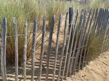 Ganivelle châtaignier bord de plage