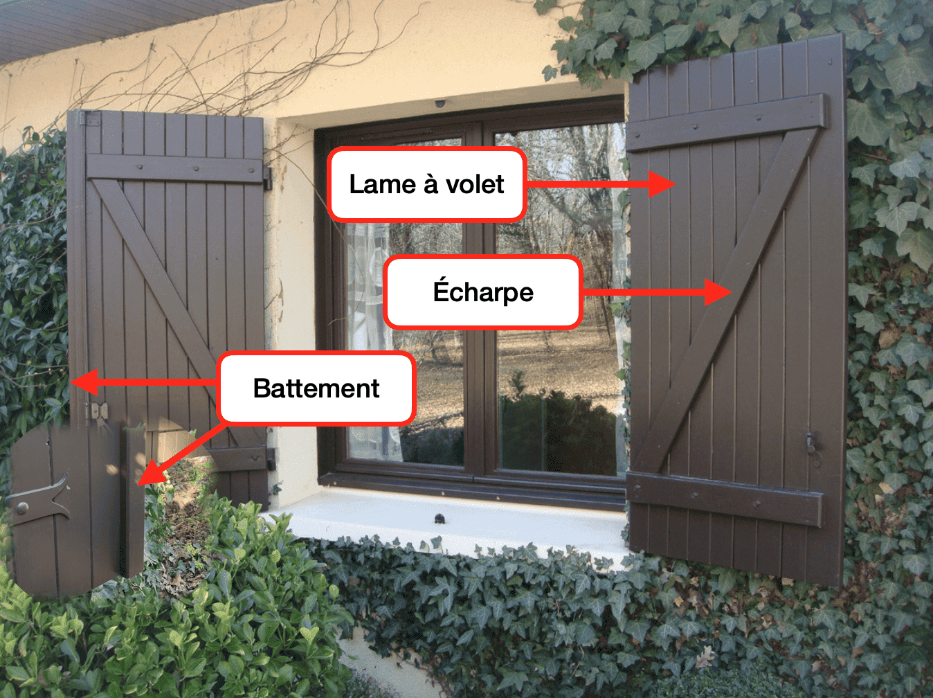 Lame à volet pin maritime