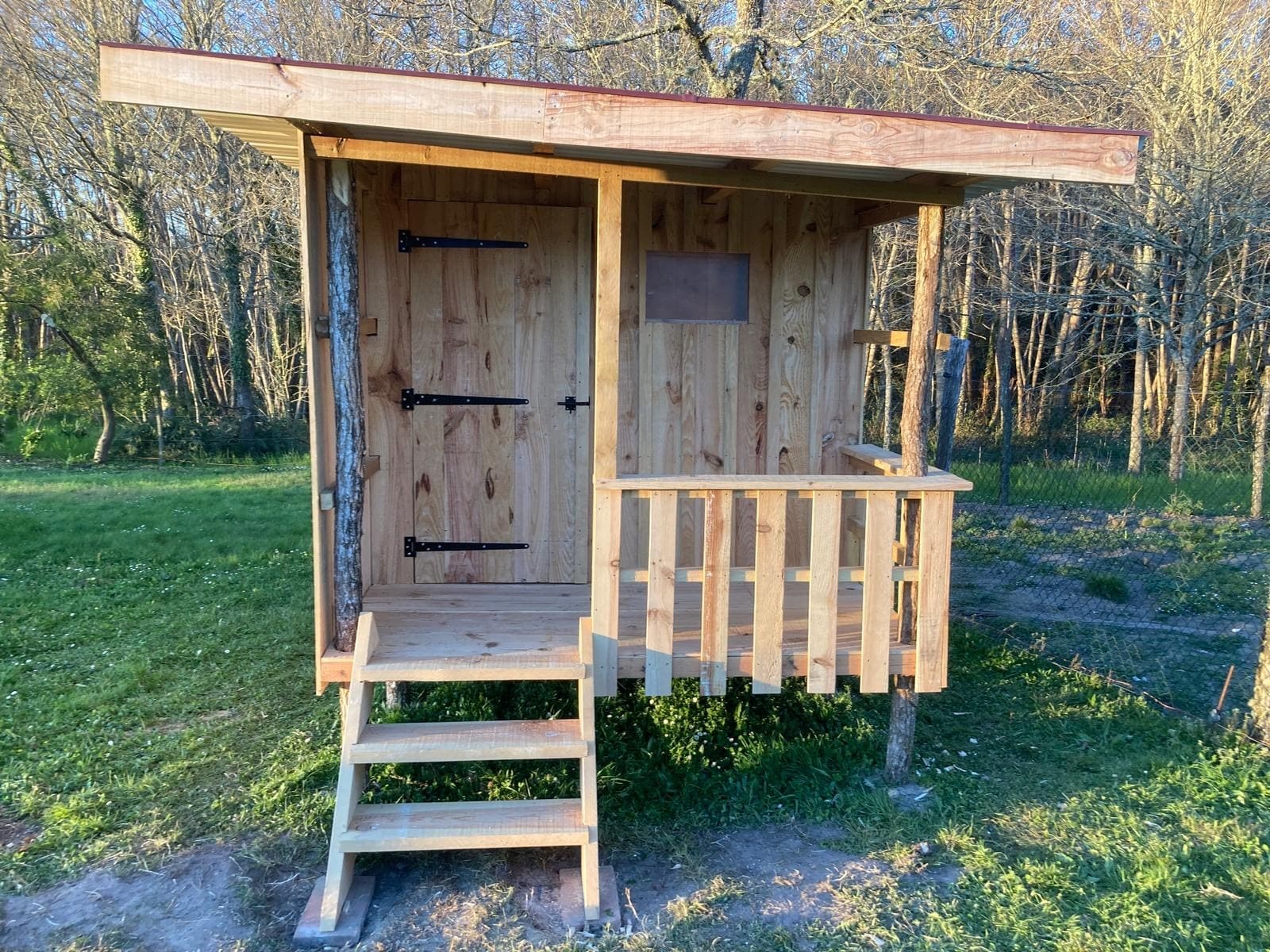 Planche de coffrage pin maritime