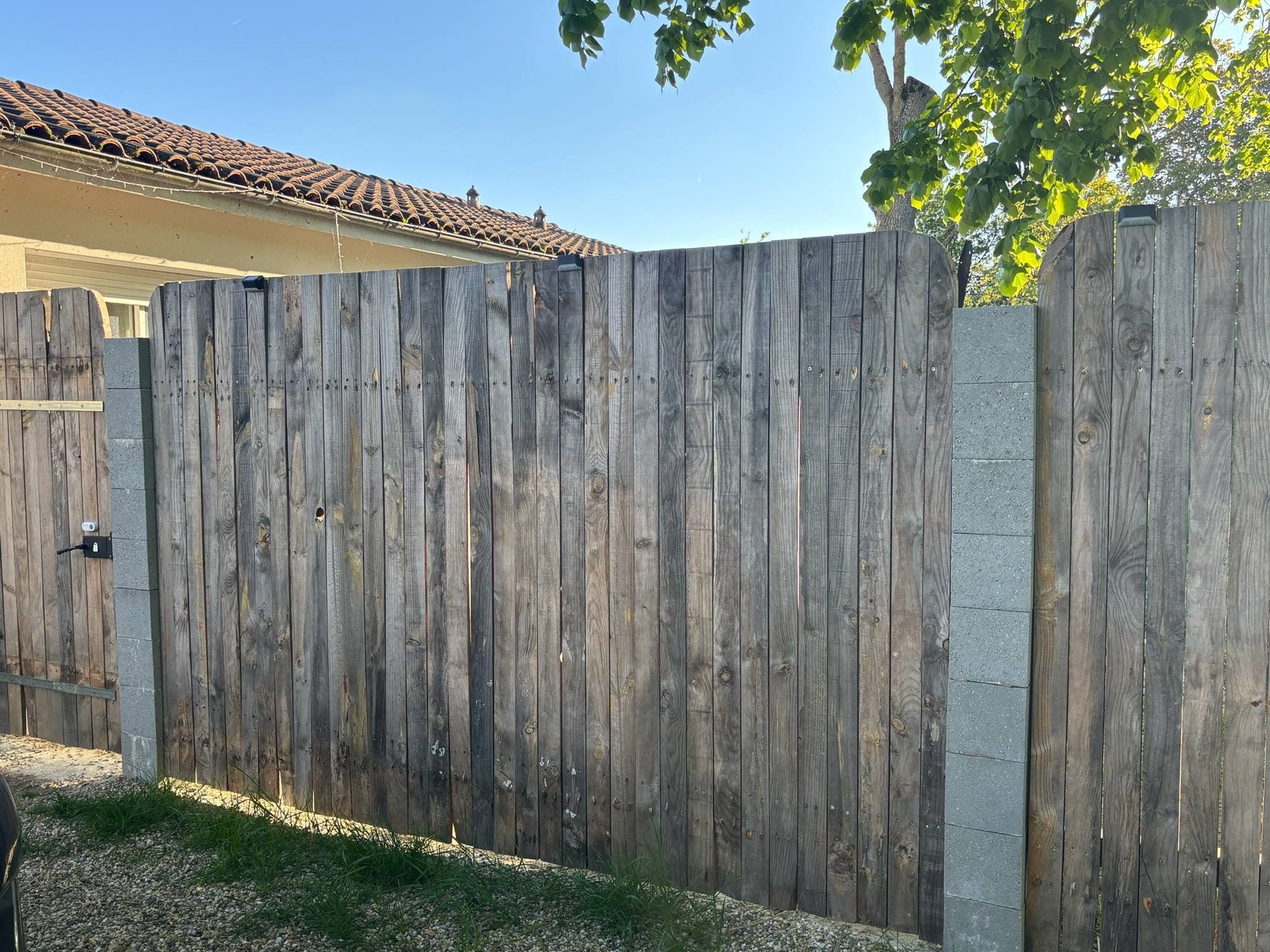 Planche de coffrage pin maritime