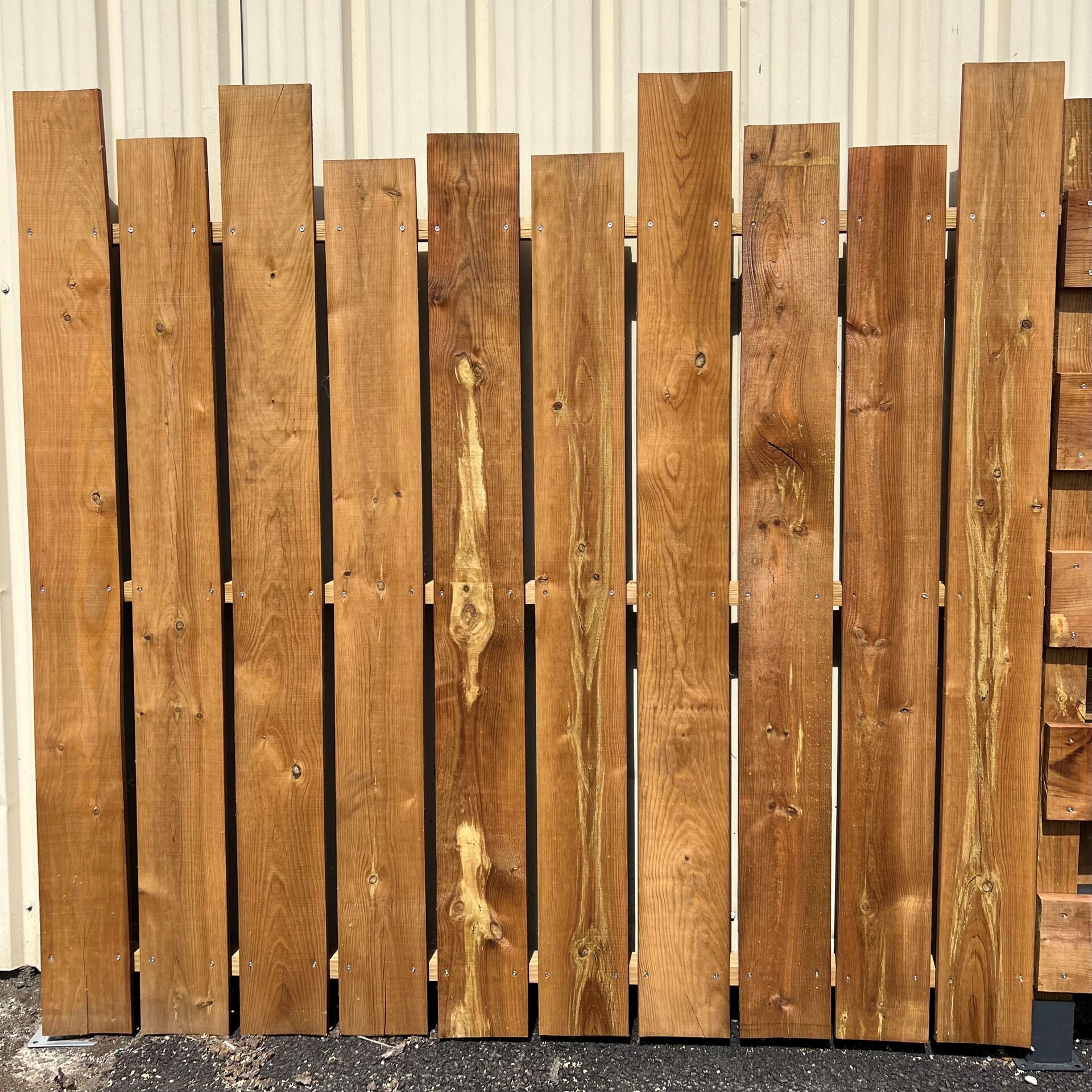 Volige traitée pin maritime