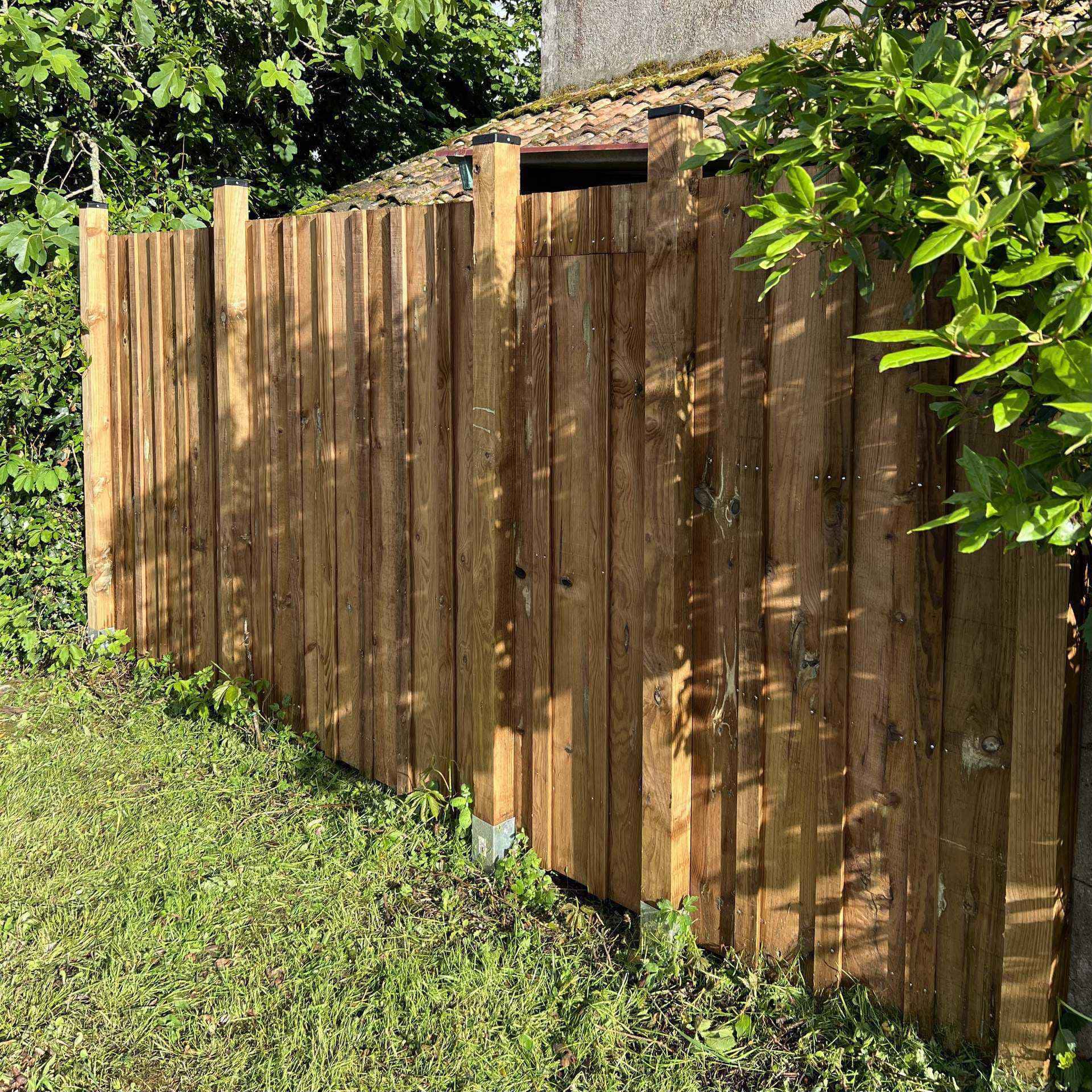 En pin maritime des landes